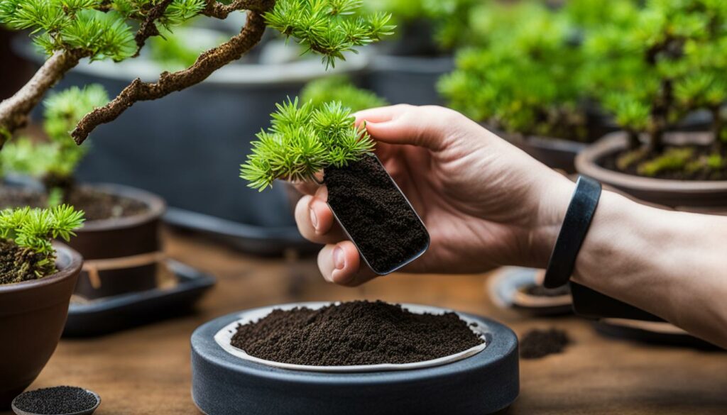 Assessing Feeding Bonsai Needs