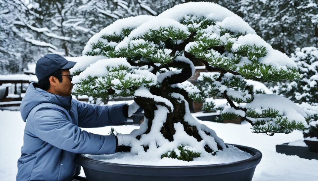 Bonsai Overwintering