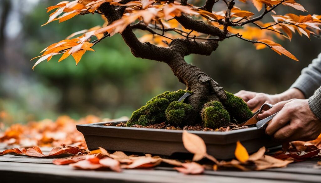 Winterizing Bonsai