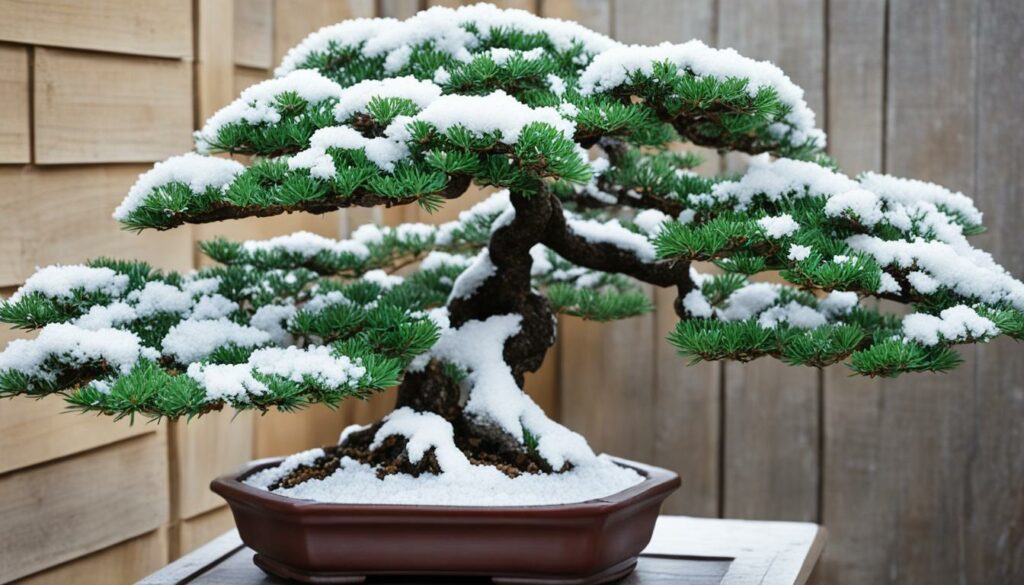 winterizing bonsai fertilization methods