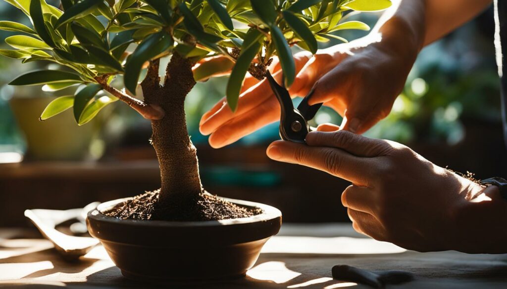 Adenium bonsai shaping