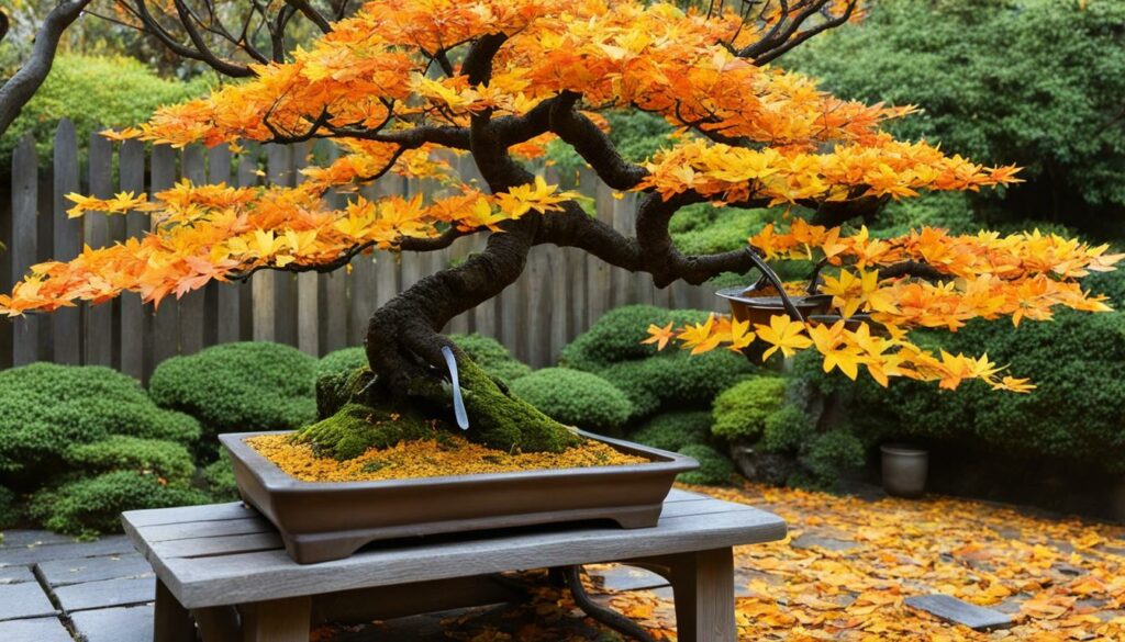 Bonsai Seasonal Care