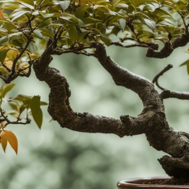 The Art of Defoliation in Bonsai Styling