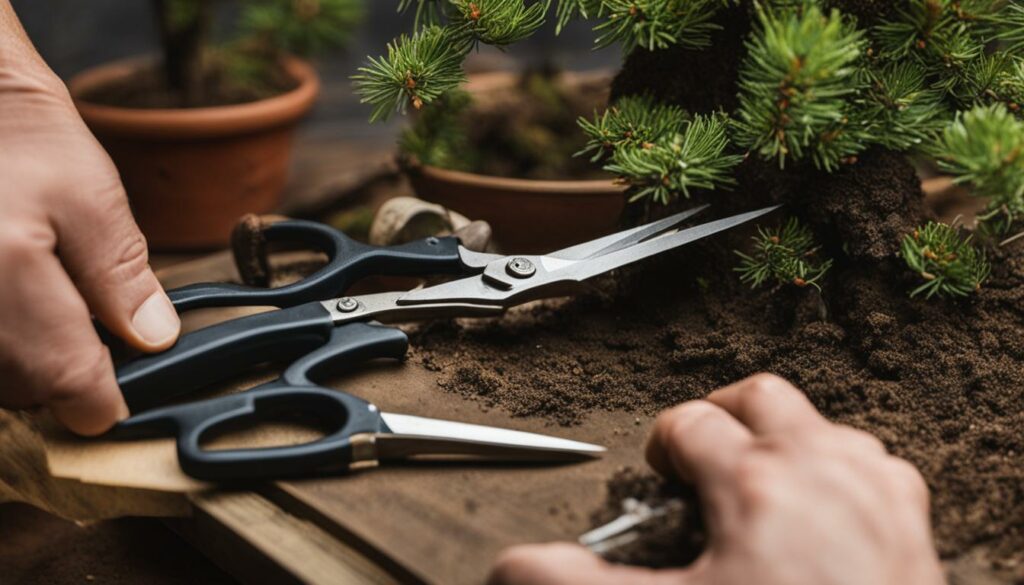 Bonsai Styling Forest Planting Preparation