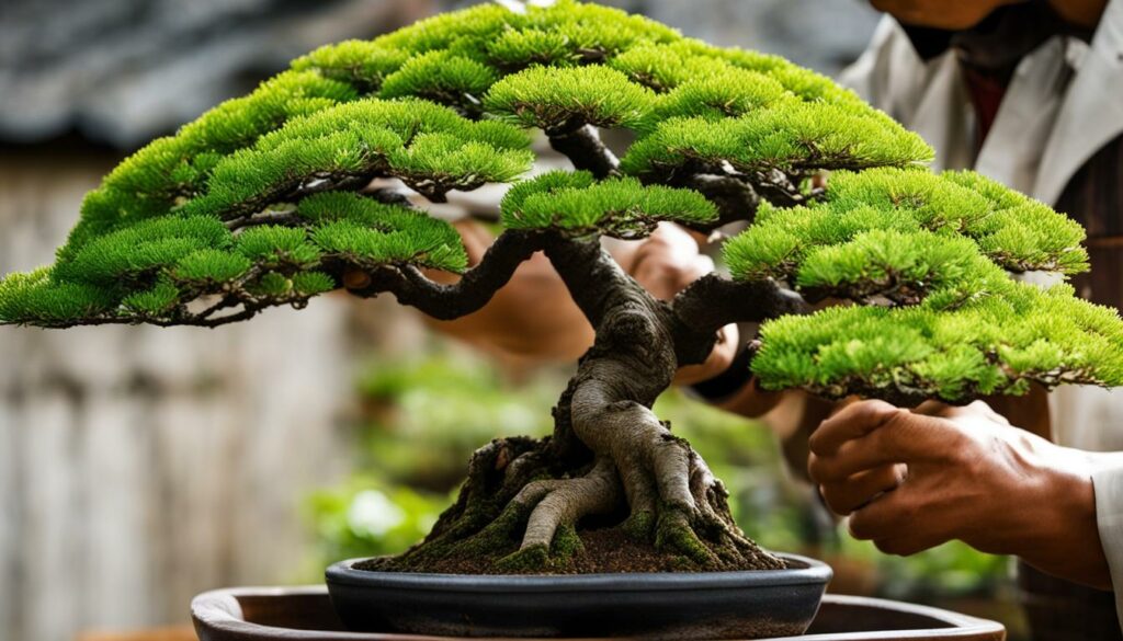 Bonsai Styling Pruning