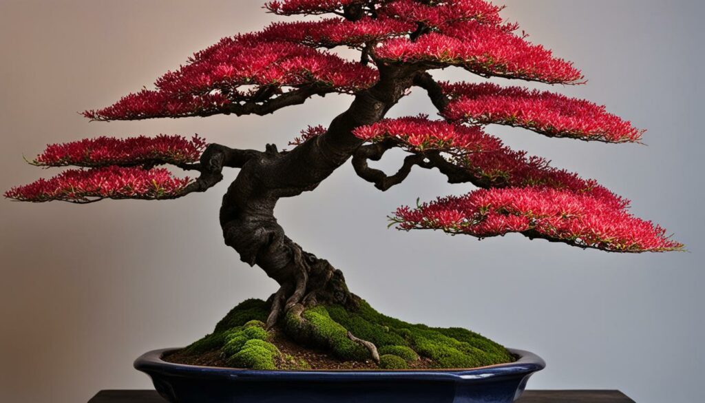 Bonsai Tree Species Brush Cherry