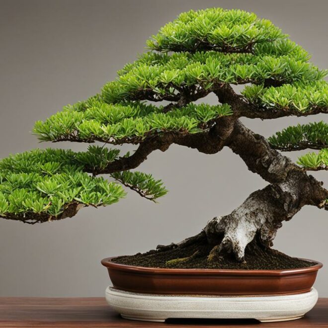 Bonsai Tree Species Exploration – The Lush Brush Cherry