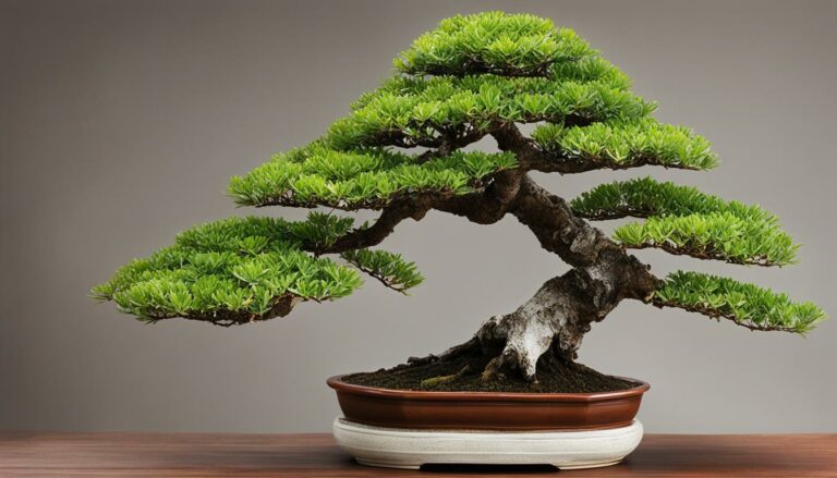 Bonsai Tree Species Exploration – The Lush Brush Cherry