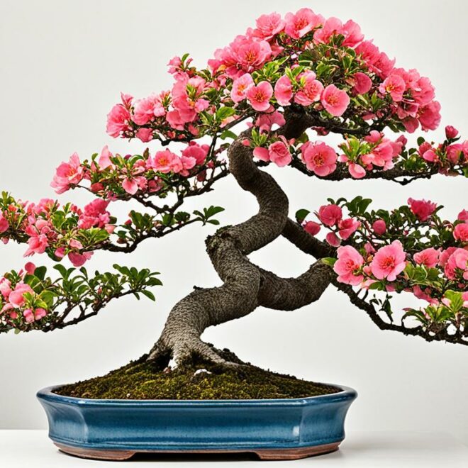 Bonsai Tree Species Guide: The Vibrant Chinese Quince