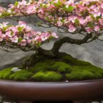 Bonsai Tree Species Deep Dive: The Versatile Dogwood
