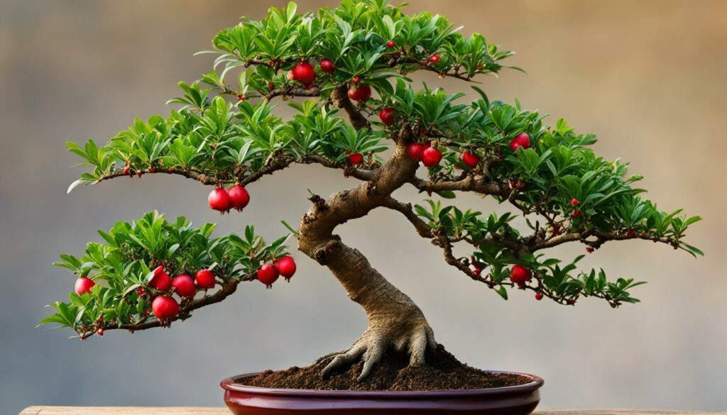 Bonsai Tree Species Dwarf Pomegranate