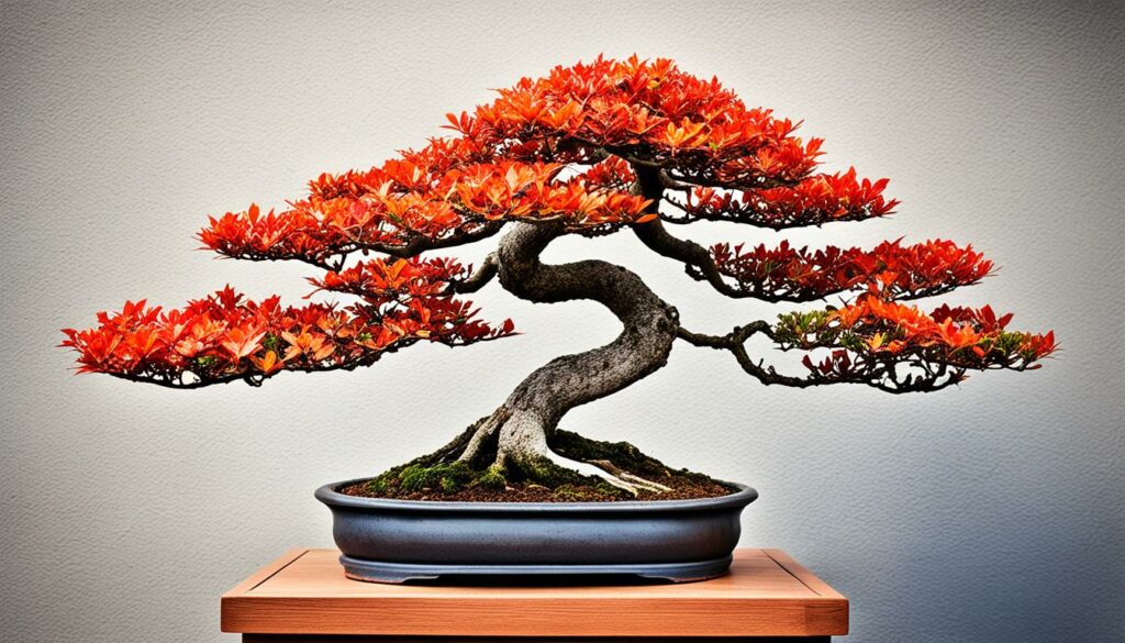 Bonsai Tree Species Flame Tree