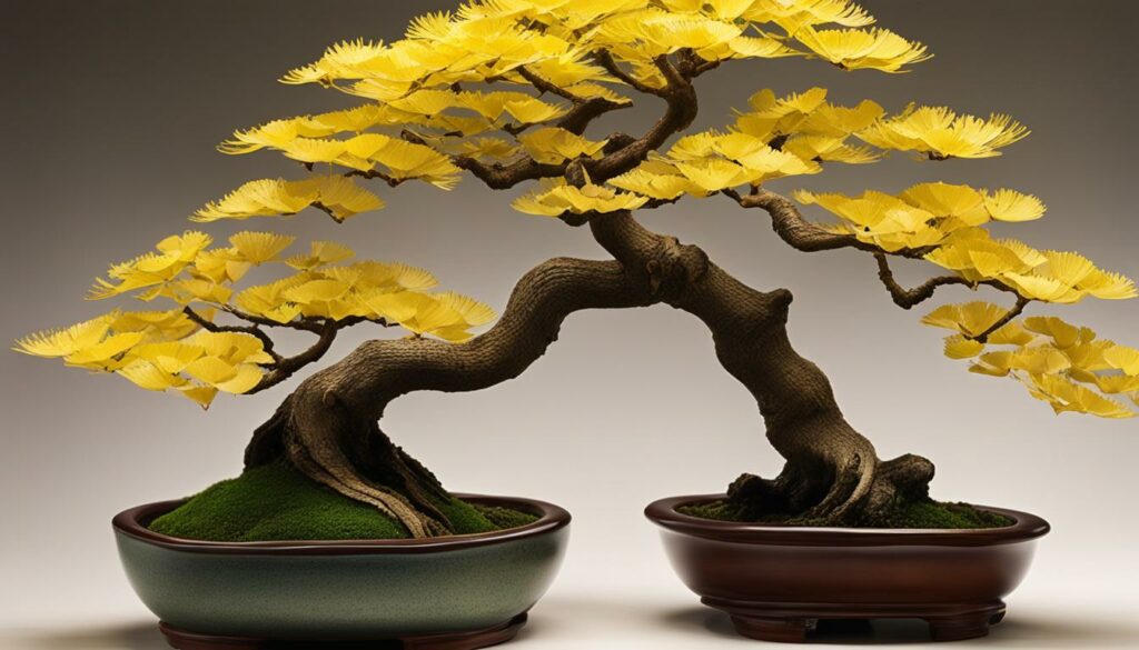 Bonsai Tree Species Ginkgo