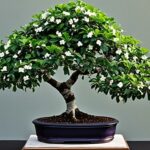 Bonsai Tree Species Highlight: The Unique Jabuticaba