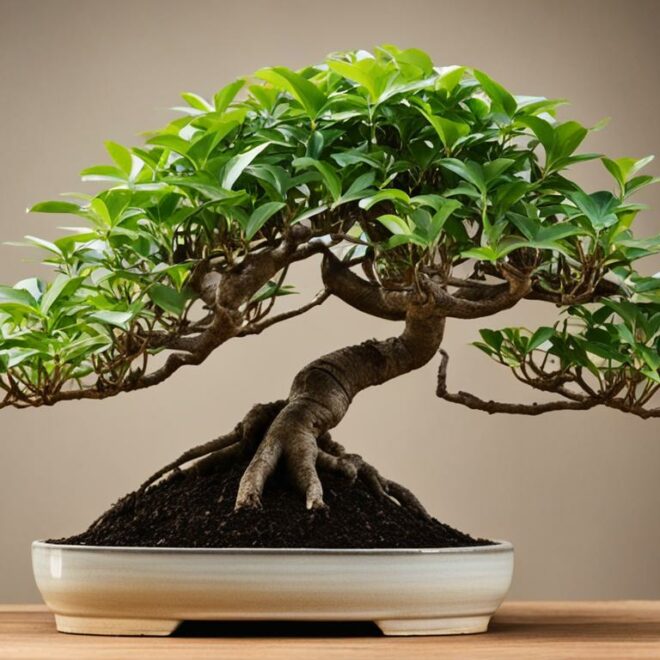 Bonsai Tree Species Spotlight: The Prosperous Money Tree