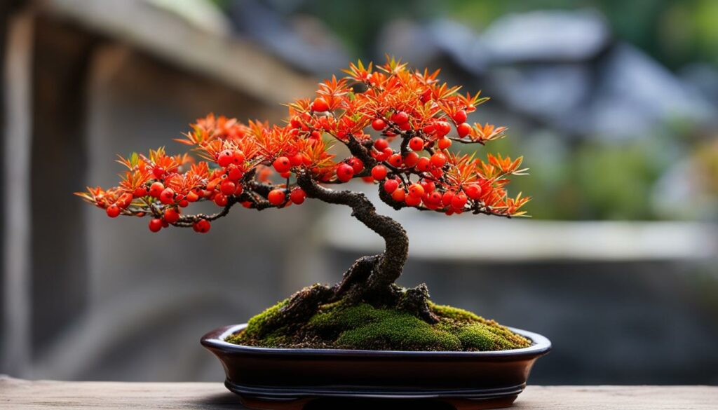 Bonsai Tree Species Pyracantha