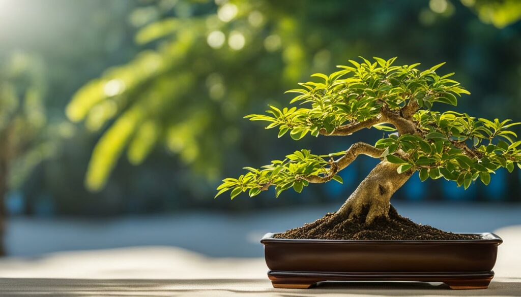 Bonsai Tree Species Sageretia Theezans