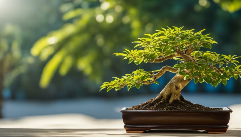 Bonsai Tree Species Profile: The Graceful Sageretia Theezans