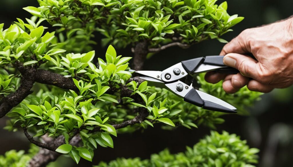 Bonsai pruning for health