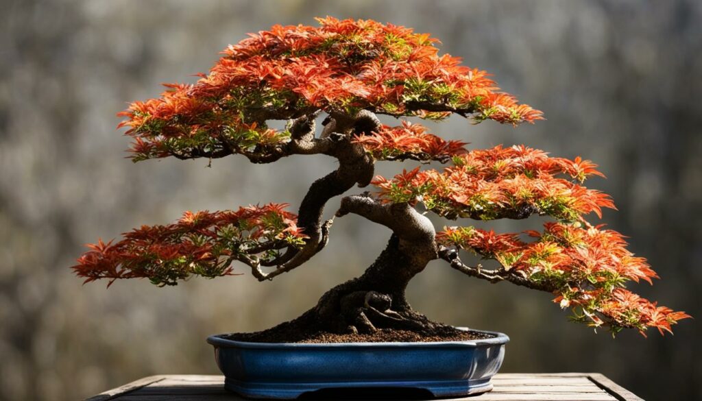 Bonsai tree with signs of pest and disease damage.