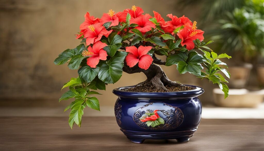 Hibiscus bonsai in a ceramic pot