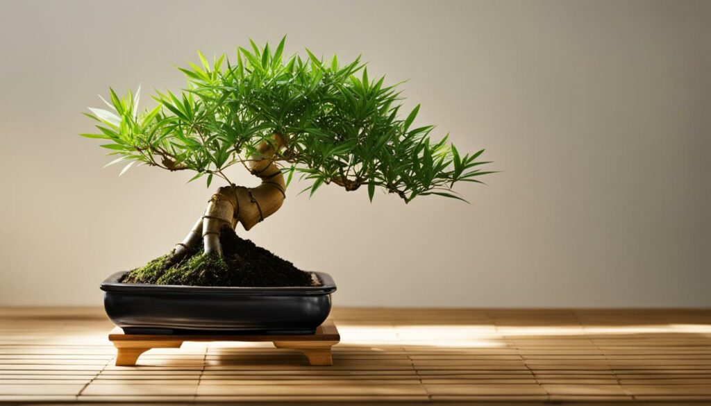 Indoor bonsai