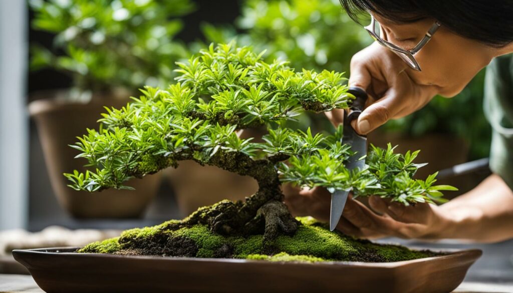 Myrtle bonsai care