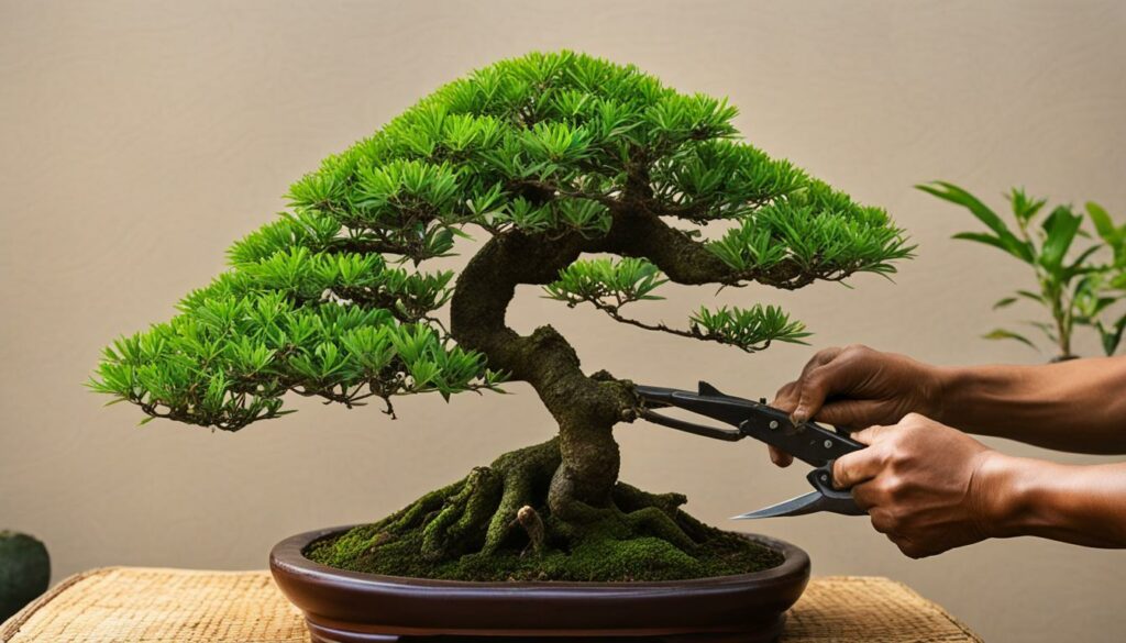 Premna bonsai pruning
