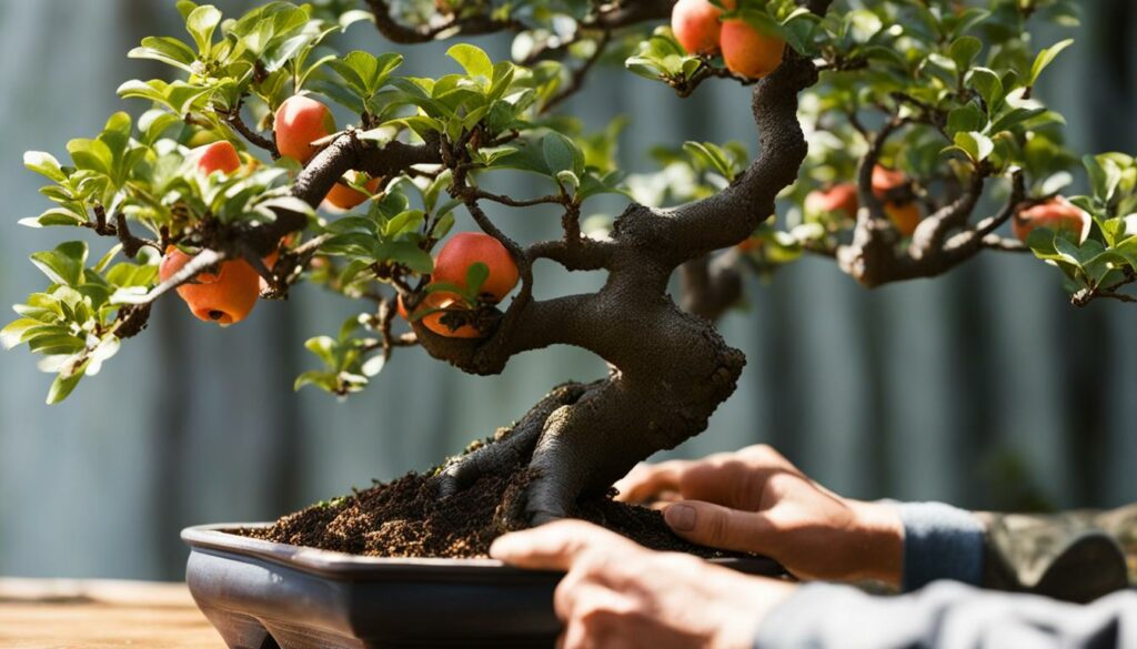 Pruning and Wiring Chinese Quince Bonsai
