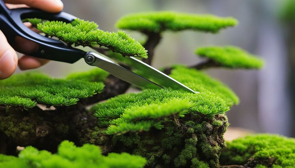 bonsai leaf trimming