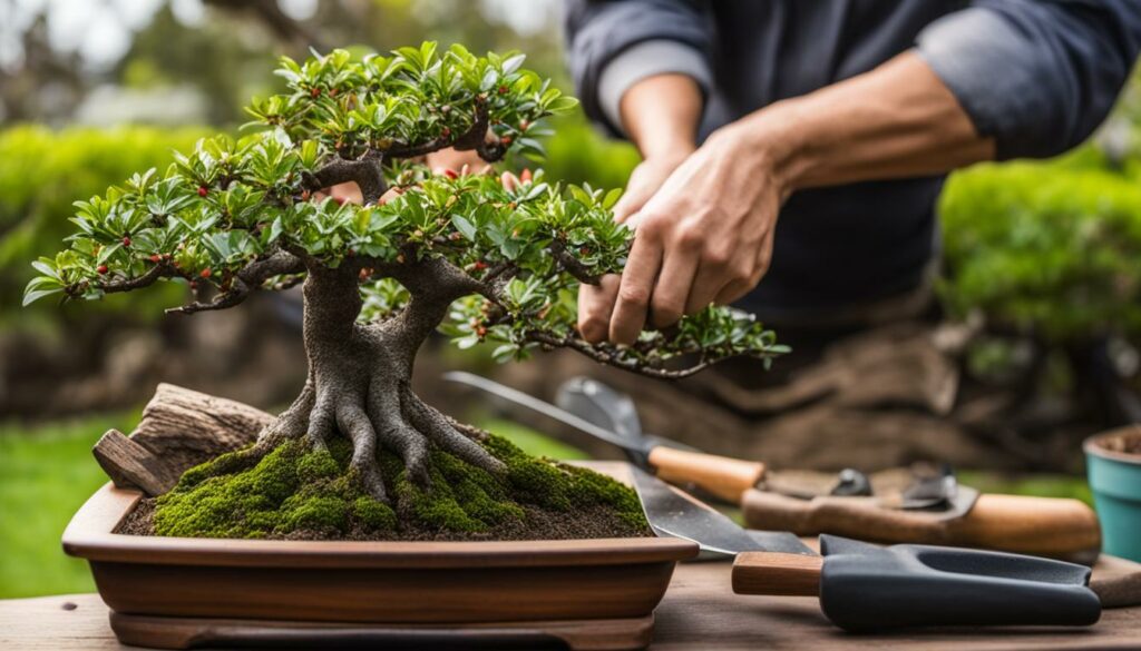 crabapple bonsai care