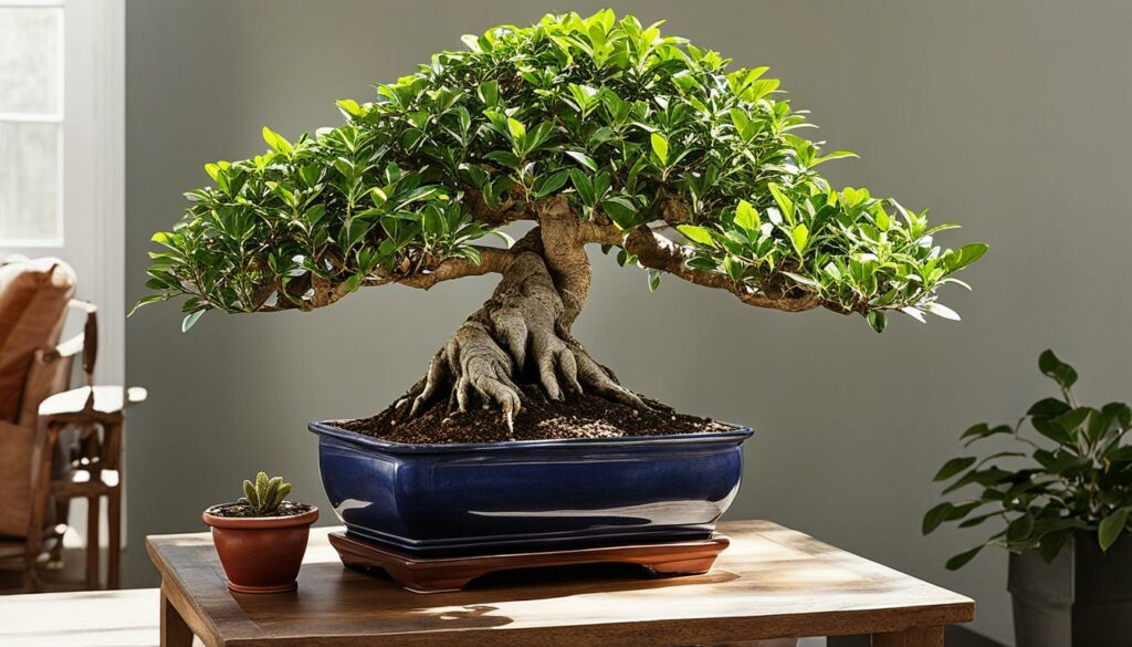 indoor bonsai