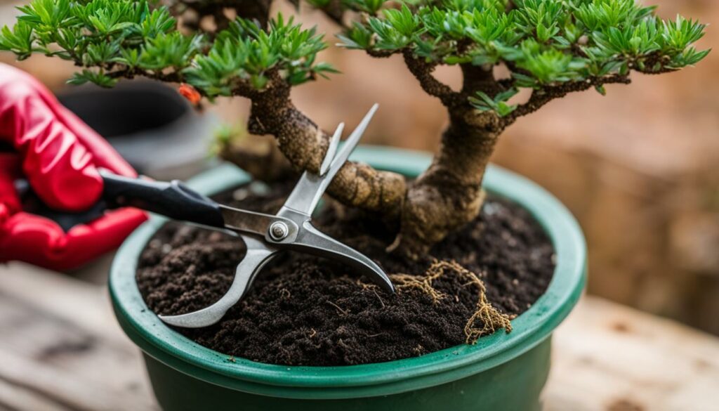 nursery stock