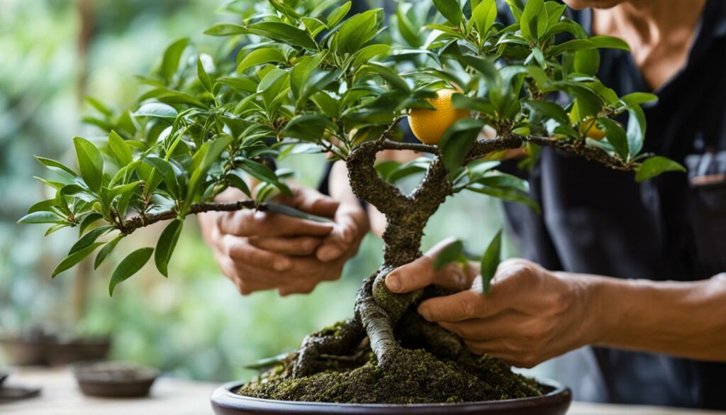 shaping bonsai
