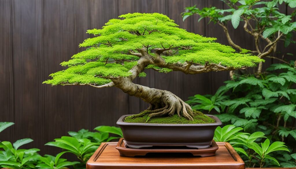 tropical bonsai
