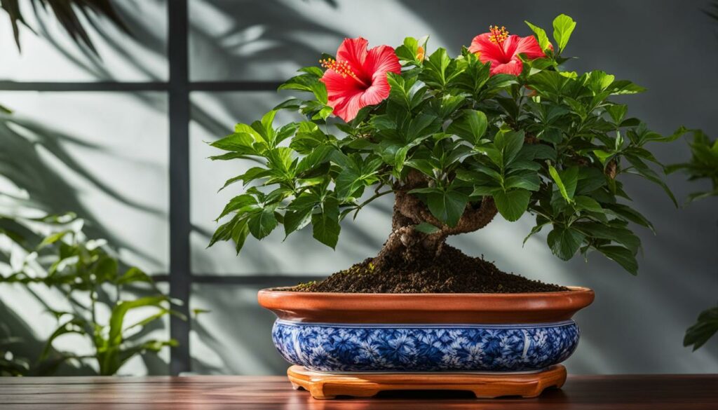 tropical bonsai